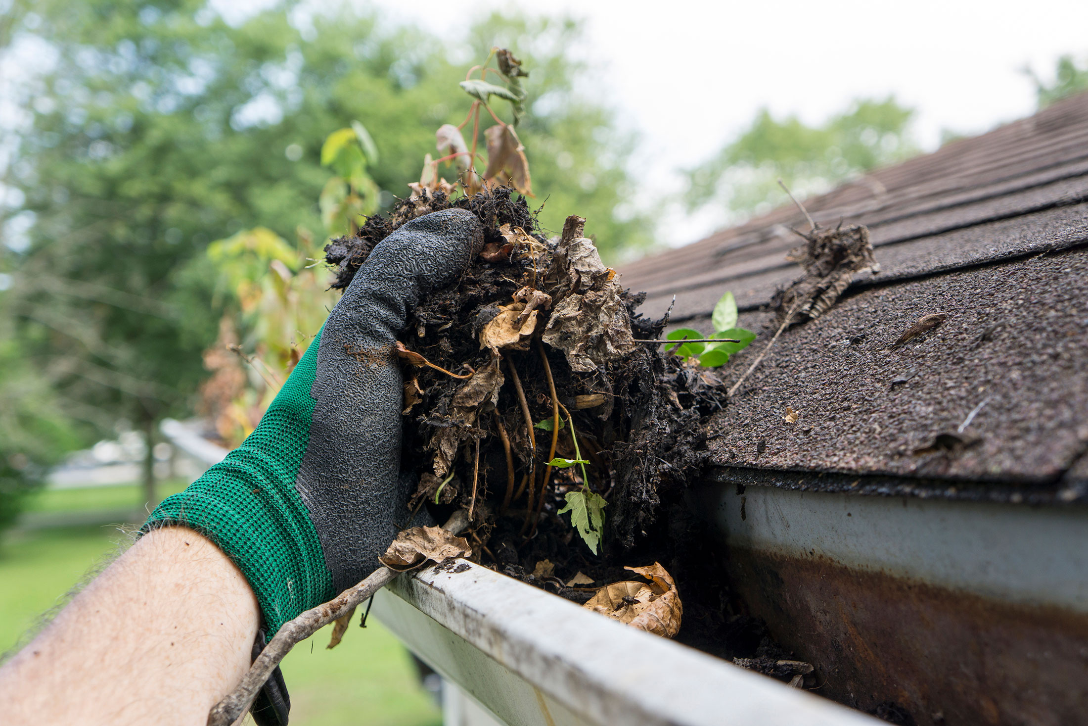 roof maintenance debris cleaning