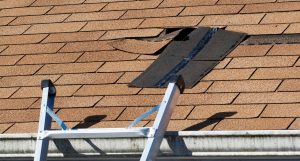 roof repair champaign urbana il